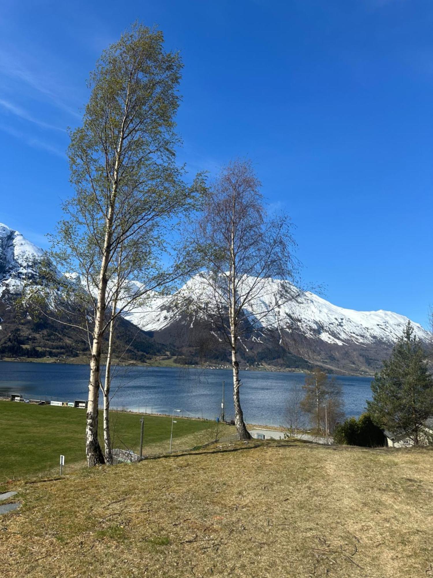 Vollsnes Feriehus Vila Hjelle Exterior foto